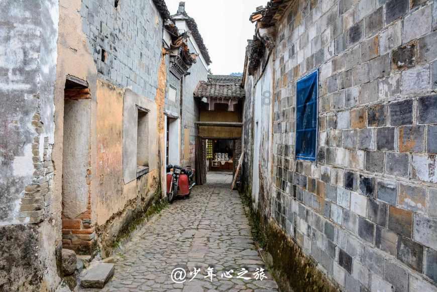 野生动物纷纷登场，成为各地文旅内卷的宣传工具，该不该？｜观点争鸣